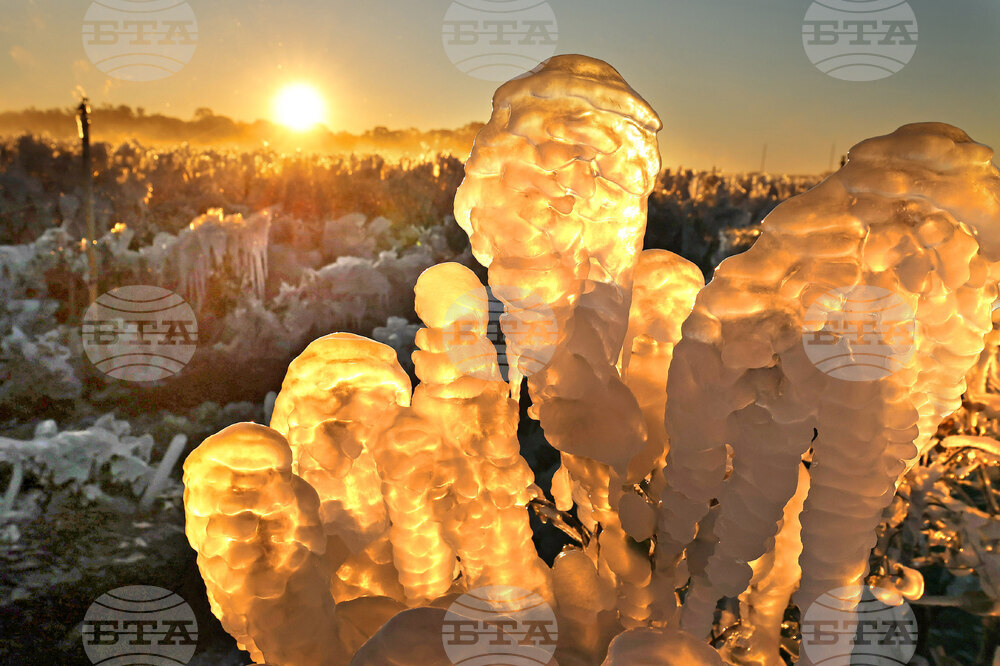 Winter Weather Florida