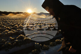 Winter Weather Florida