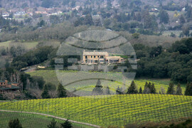 Super Bowl Visitors Guide