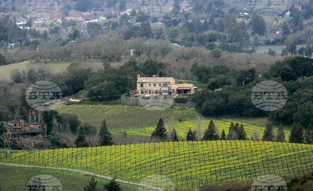 Super Bowl Visitors Guide