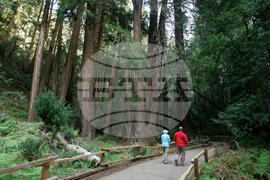 Super Bowl Visitors Guide