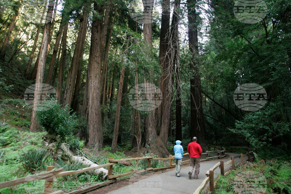 Super Bowl Visitors Guide