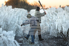 Winter Weather Florida