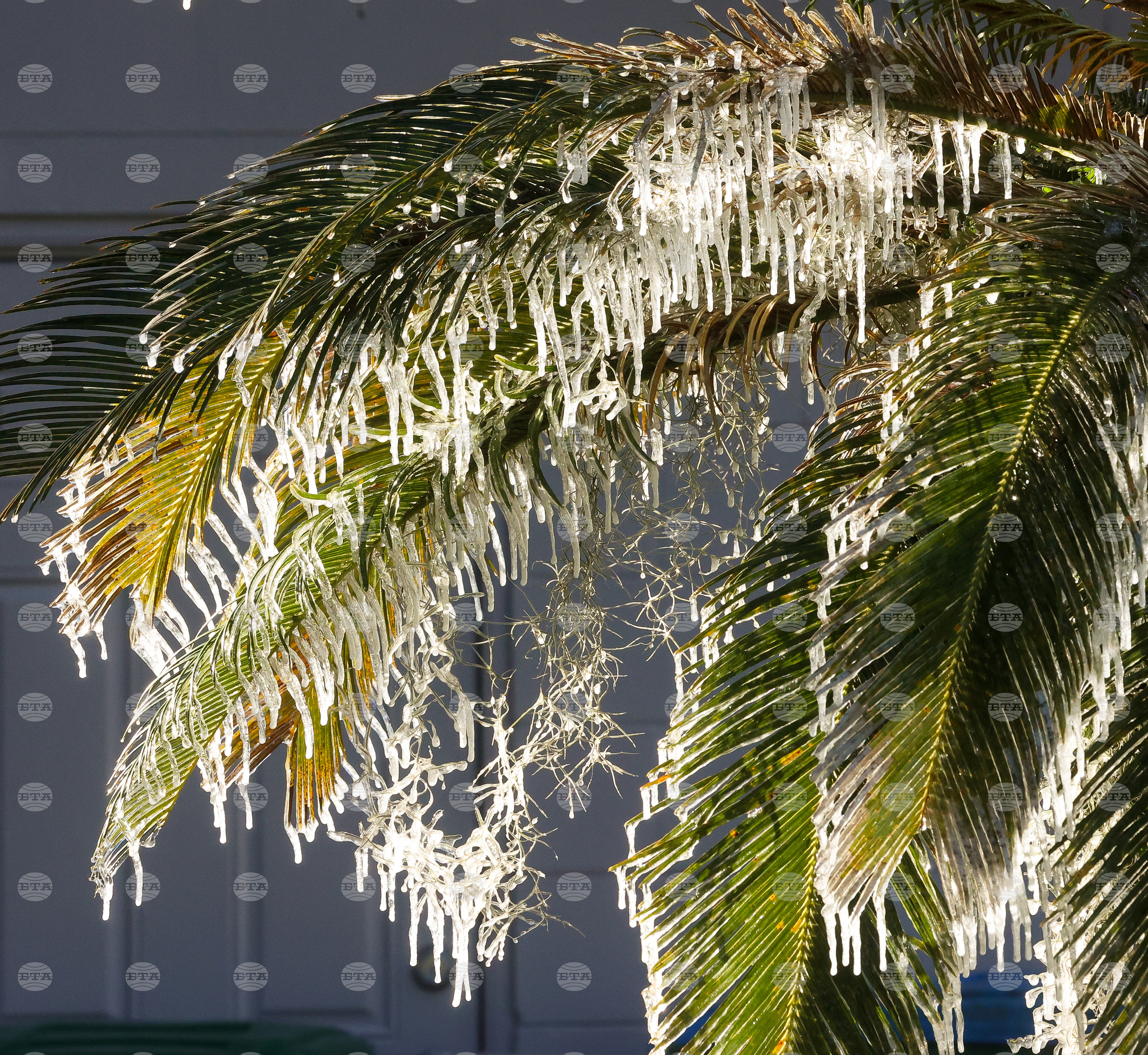 Winter Weather Florida