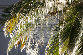 Winter Weather Florida