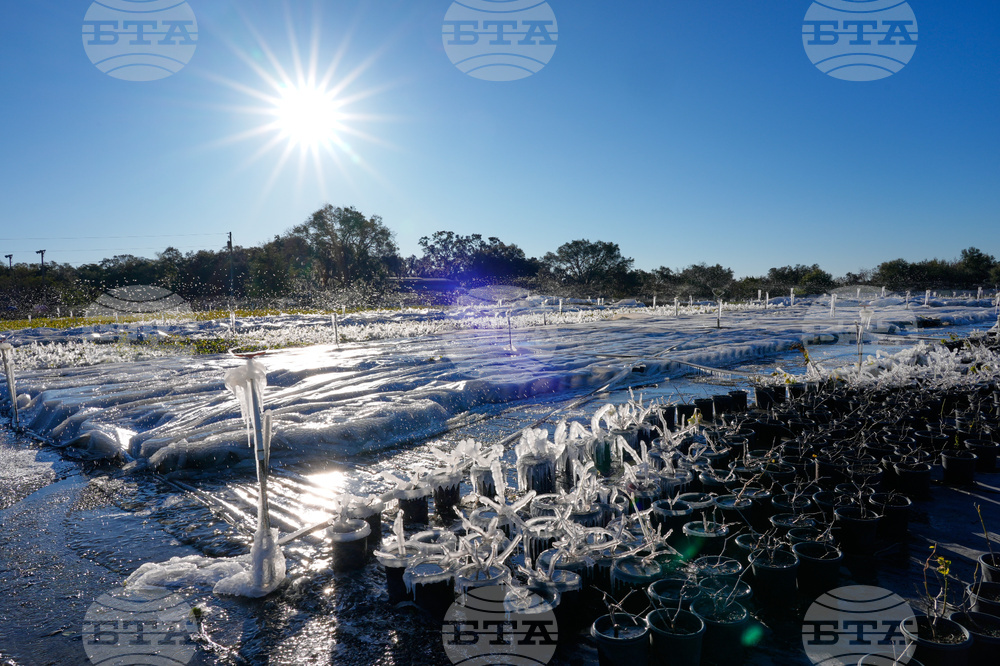 APTOPIX Winter Weather Florida