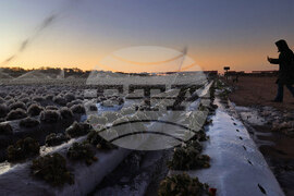 APTOPIX Winter Weather Florida