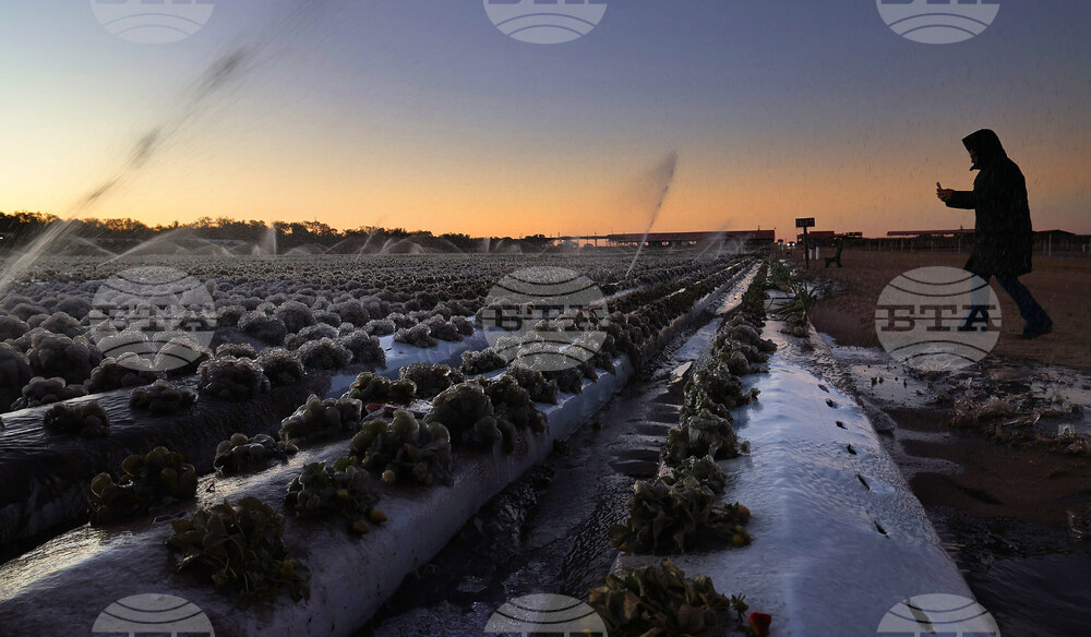 APTOPIX Winter Weather Florida