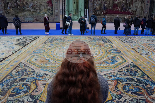 France Sun King Carpet