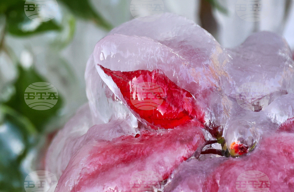 Winter Weather Florida