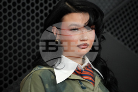 68th Annual Grammy Awards - Arrivals