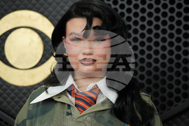 68th Annual Grammy Awards - Arrivals