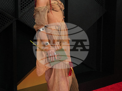 68th Annual Grammy Awards - Arrivals