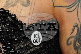 68th Annual Grammy Awards - Arrivals