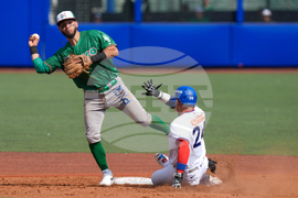 Mexico Puerto Rico Baseball