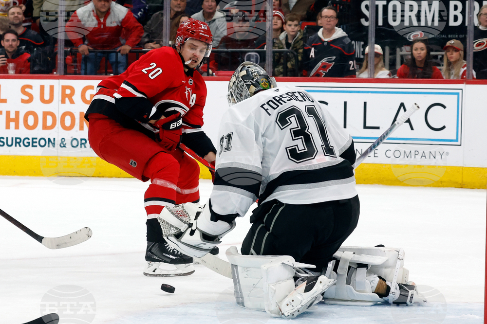 Kings Hurricanes Hockey