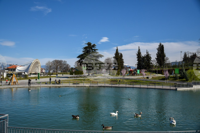 Петрич - парк - ежедневие