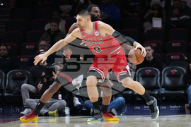 Bulls Heat Basketball
