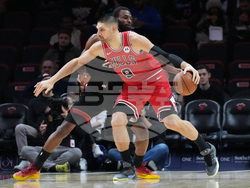 Bulls Heat Basketball