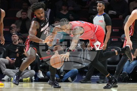 Bulls Heat Basketball