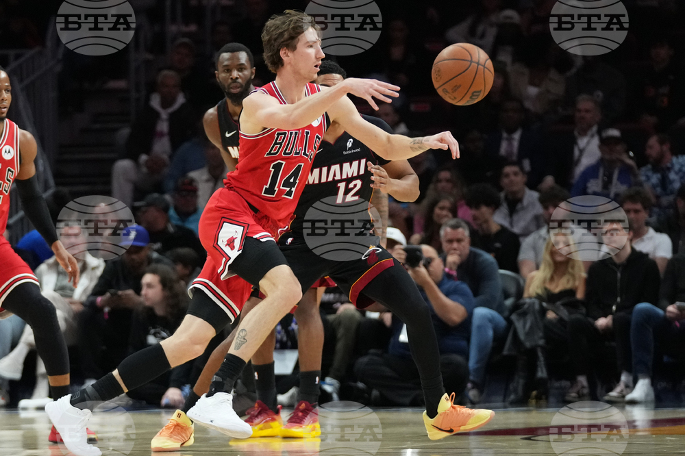 Bulls Heat Basketball