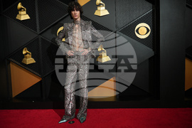 68th Annual Grammy Awards - Arrivals