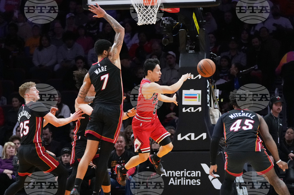 Bulls Heat Basketball