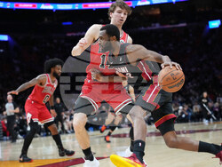Bulls Heat Basketball
