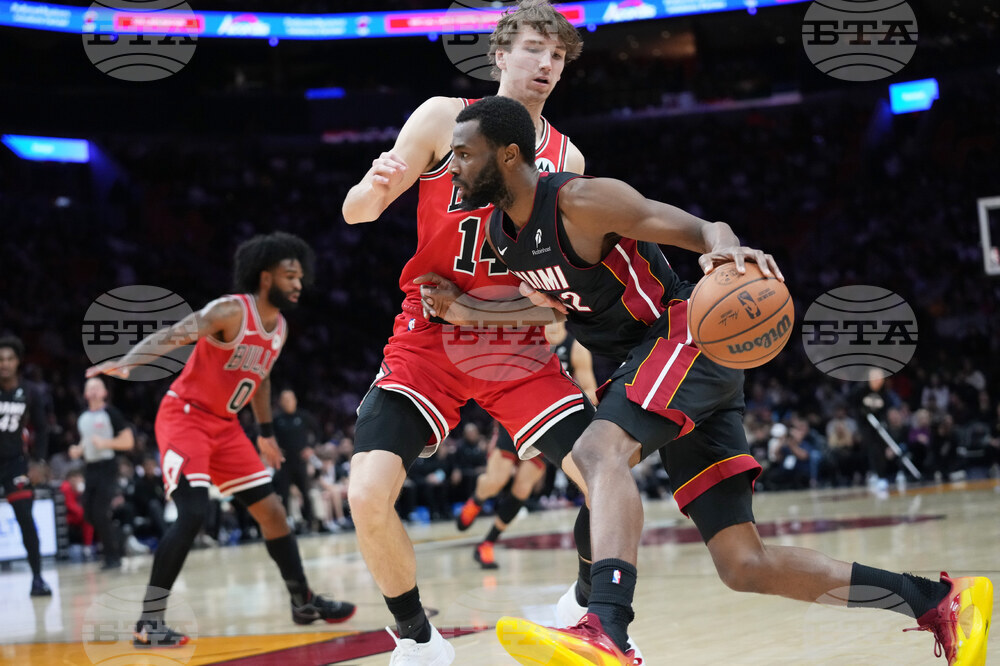 Bulls Heat Basketball