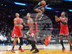 Bulls Heat Basketball