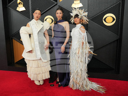 68th Annual Grammy Awards - Arrivals