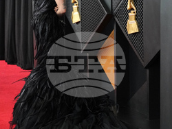68th Annual Grammy Awards - Arrivals