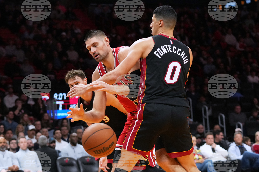 Bulls Heat Basketball