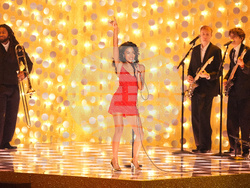 68th Annual Grammy Awards - Show