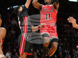 Bulls Heat Basketball