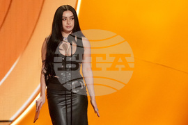 68th Annual Grammy Awards - Show