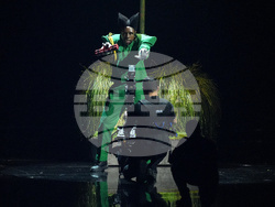 68th Annual Grammy Awards - Show