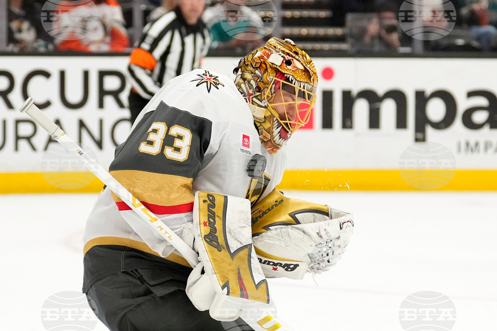 Golden Knights Ducks Hockey