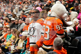 Golden Knights Ducks Hockey