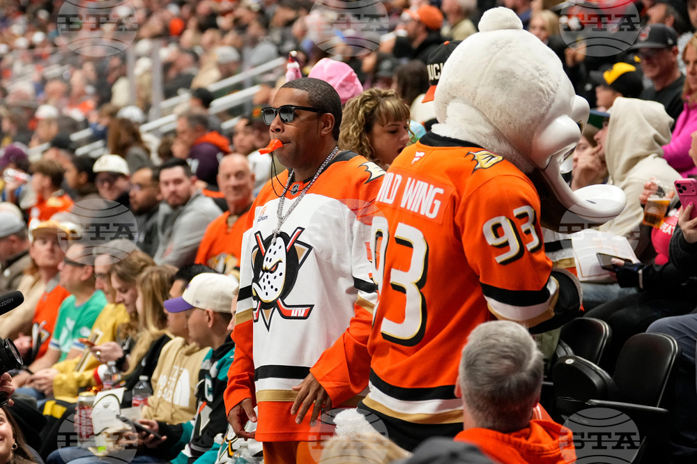 Golden Knights Ducks Hockey