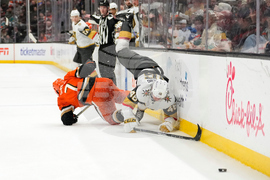 Golden Knights Ducks Hockey