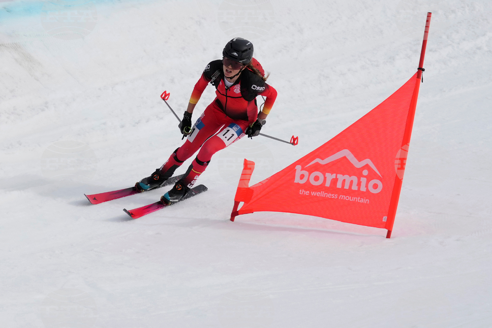 Winter Olympics Diversity