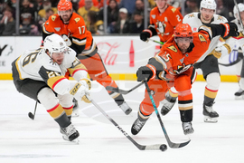 Golden Knights Ducks Hockey