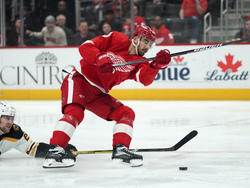 Bruins Red Wings Hockey