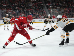 Bruins Red Wings Hockey