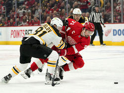 Bruins Red Wings Hockey