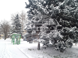 Разград - зима - обстановка