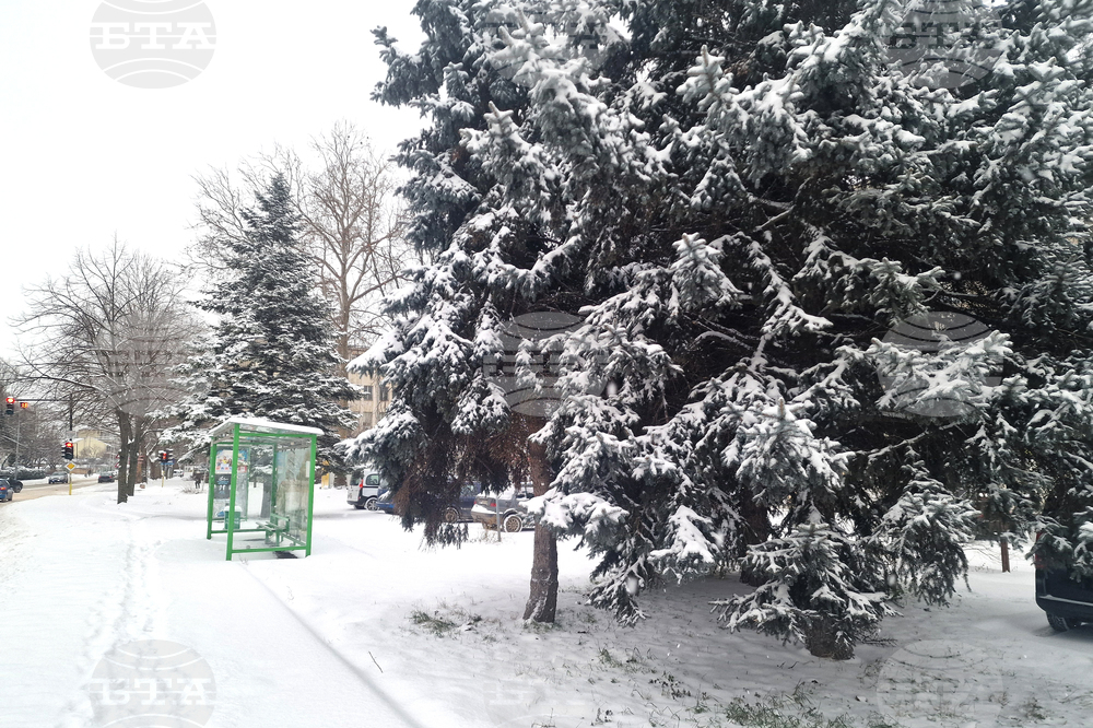 Разград - зима - обстановка