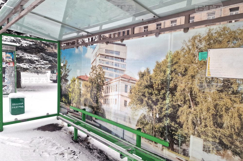 Разград - зима - обстановка