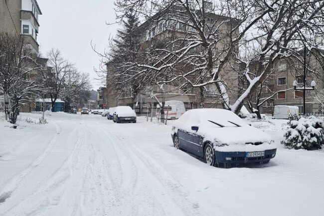 Търговище - снеговалеж - обстановка